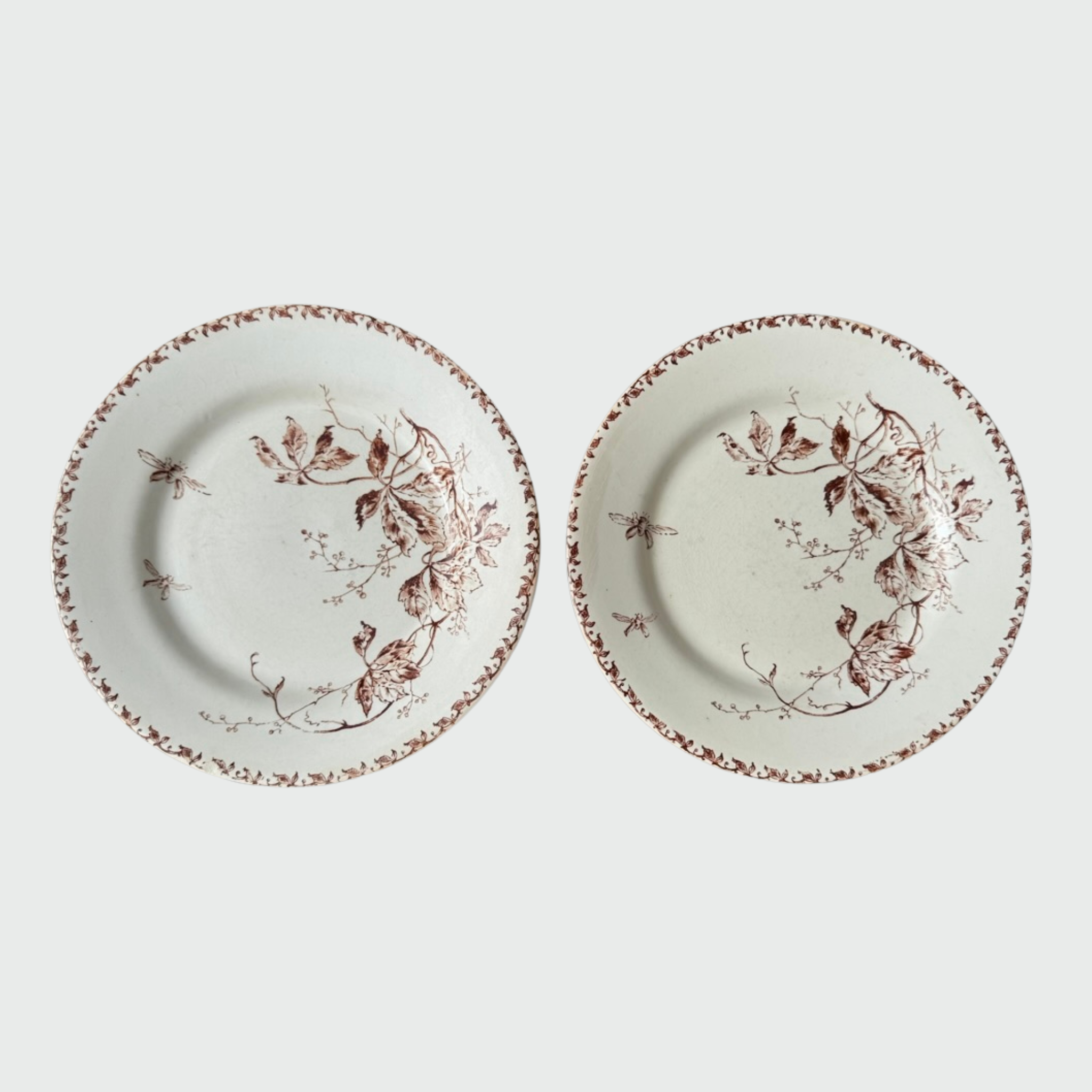 Assiettes Gien "Vigne Vierge"